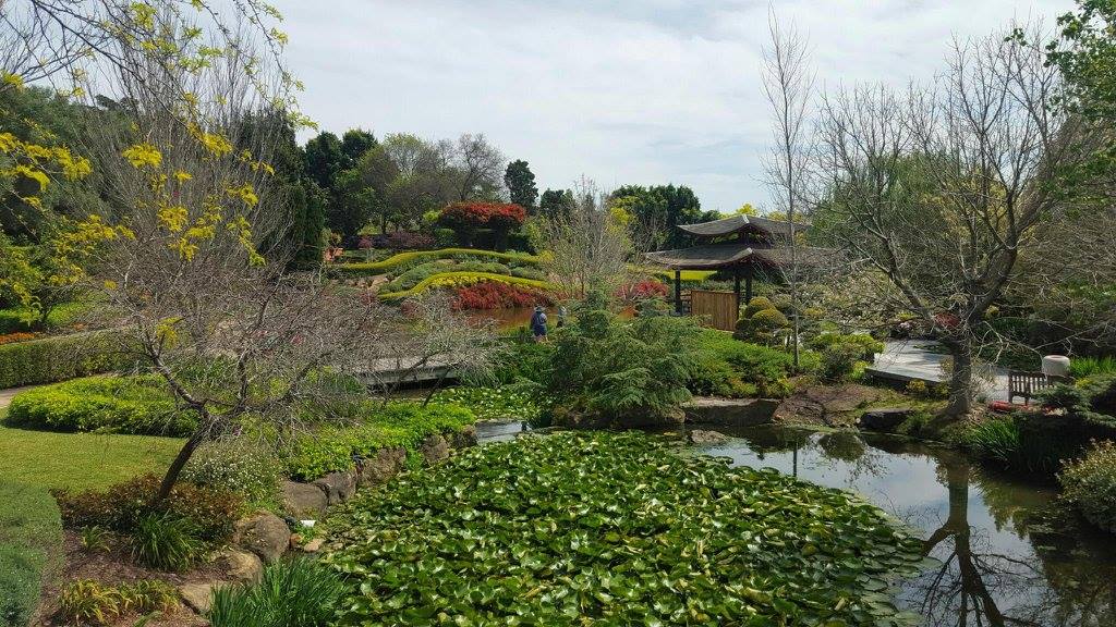 hunter valley gardens